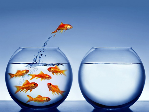 Bài dự thi "Kỷ niệm T3H"-Khi em không còn "sợ lập trình"