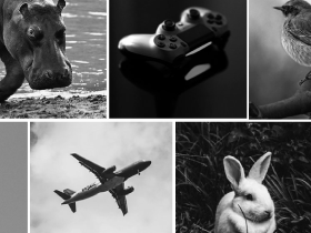 [Thiết kế Đồ Họa] Sáng tạo Logo với đối tượng