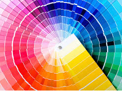 [Thiết Kế Đồ Họa] 20 gợi ý về sự kết hợp màu sắc trong thiết kế  