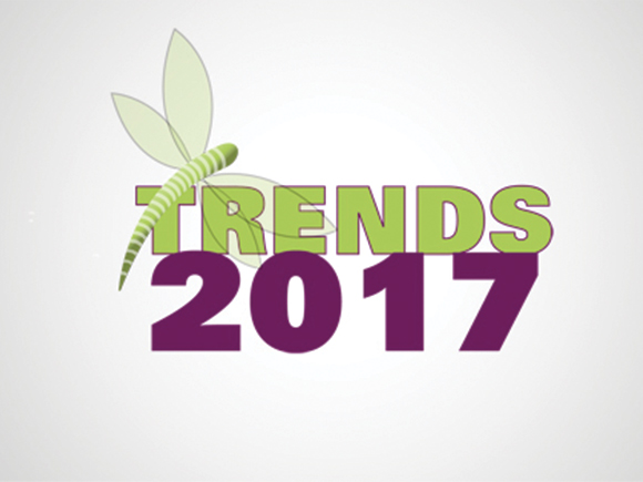 [Infographic] Xu hướng thiết kế Logo năm 2017