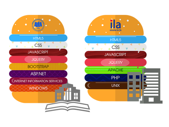 Tự học lập trình web - Các thuật ngữ cơ bản 